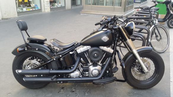 softail-slim-buttybuddy-1
